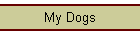 My Dogs
